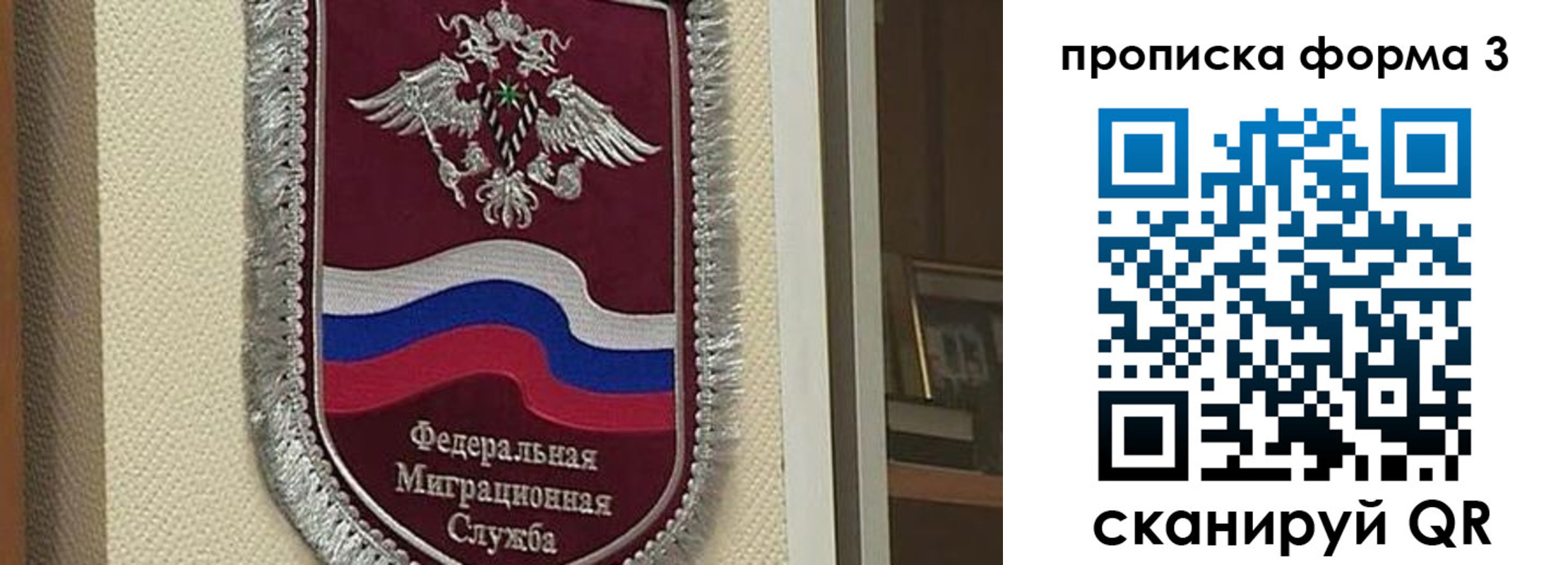 где прописаться в Стародубе
